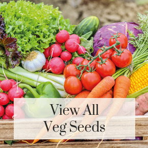 View all veg seeds